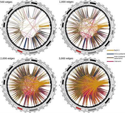 The Role of Copy Number Variants in Gene Co-Expression Patterns for Luminal B Breast Tumors